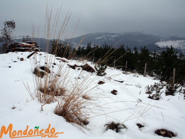 Enero 2006
La nieve en los montes de Zoñán
[URL=http://img530.imageshack.us/my.php?image=nevada2006013hd8wl.jpg][HD Disponible][/URL]
