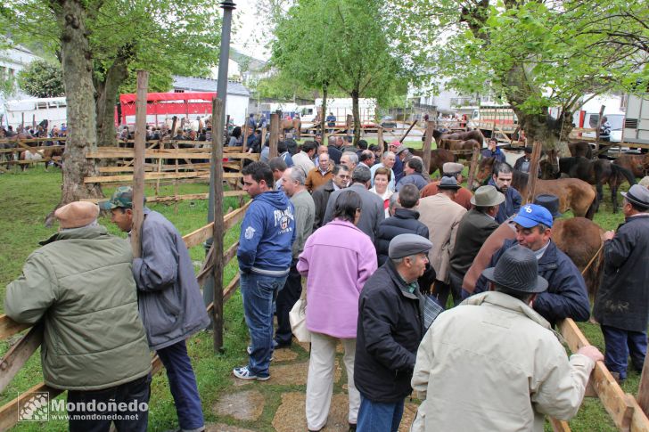 As Quendas 2010
Feria de ganado
