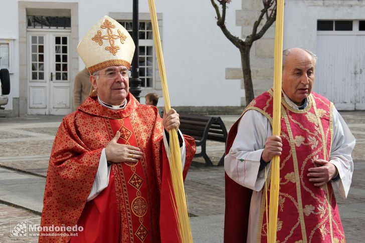 Domingo de Ramos
El Obispo en la procesión
