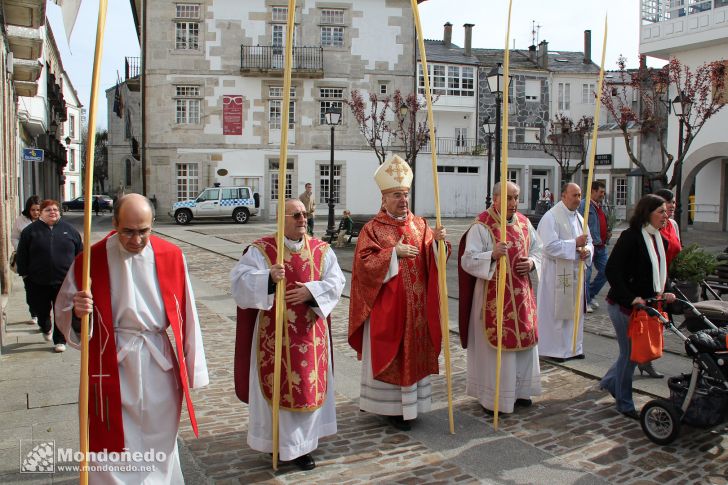 Domingo de Ramos
En procesión
