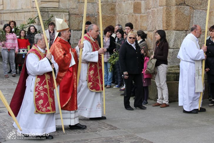 Domingo de Ramos
Final de la procesión
