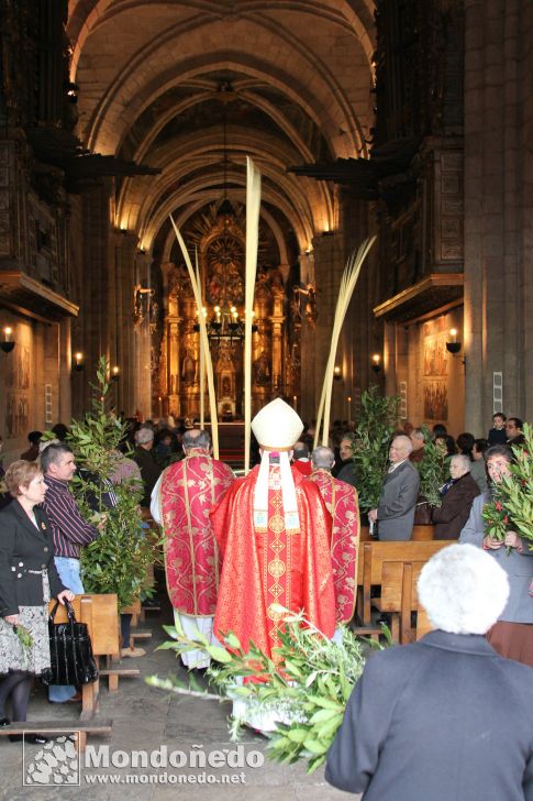 Domingo de Ramos
Entrando en la Catedral
