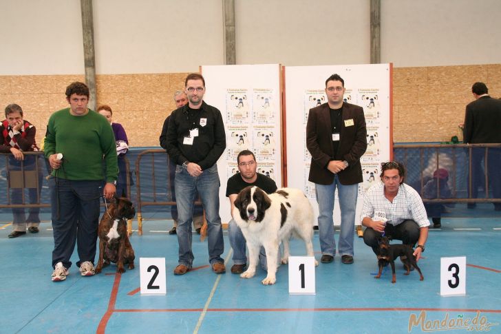 Concurso Canino
Entrega de premios
