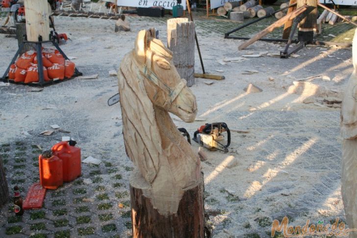 As San Lucas 2007
Caballo de madera
