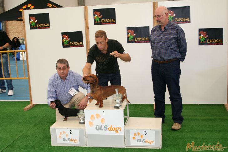 Concurso canino
Entrega de premios Grupo 4:
1º TECKEL ESTANDAR - 2º TECKEL CANICHEN
