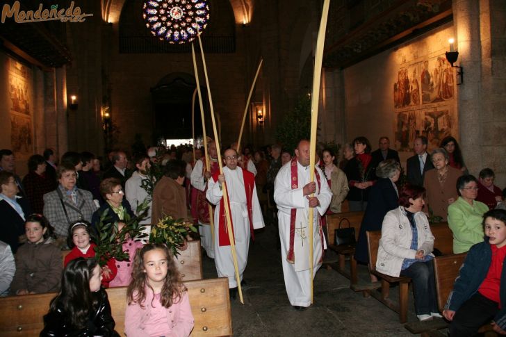 Semana Santa 2009
Procesión de Domingo de Ramos
