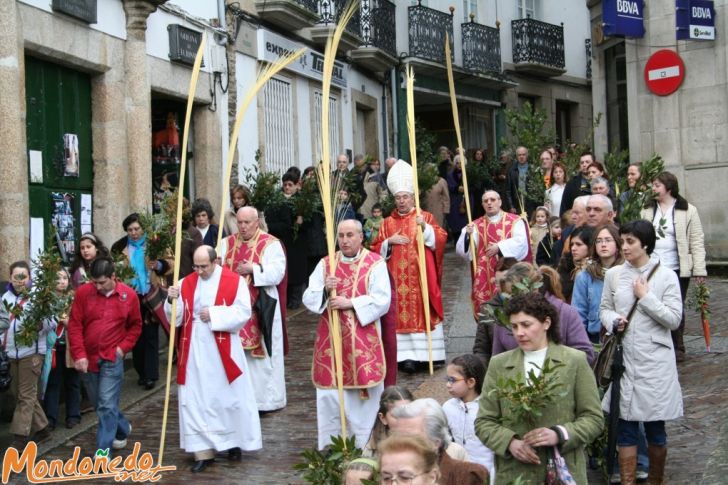 Domingo de Ramos
El Clero en la procesión
