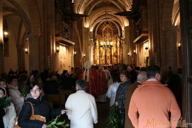 Domingo de Ramos
Entrando en la Catedral

