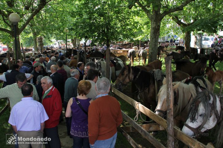 As Quendas 2011
Feria de ganado
