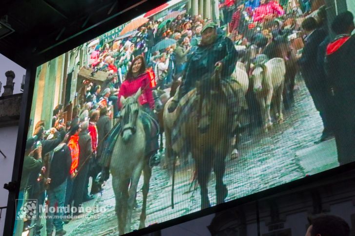 As San Lucas 2016
Llegada de los caballos
