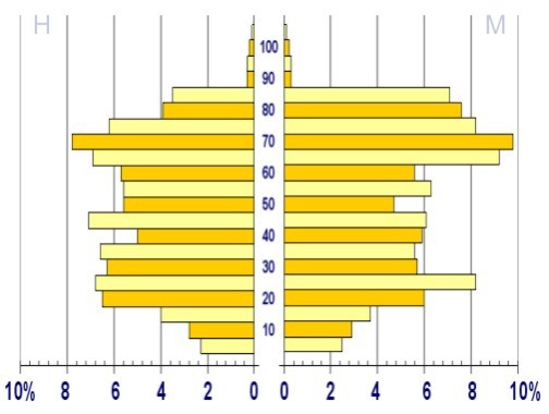Pirámide de población Pirámide de población