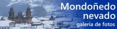 Mondo&ntilde;edo nevado