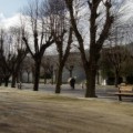 Alameda de Os Remedios