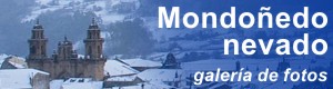 Mondo&ntilde;edo nevado