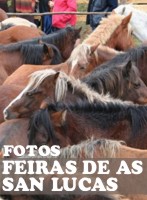 As San Lucas 2007