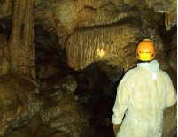Cueva