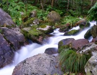 R&iacute;o Tronceda