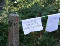 A Fervenza