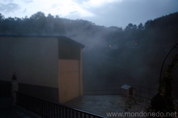 Niebla