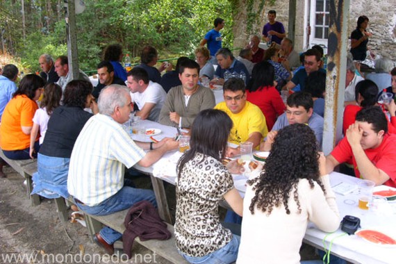 Comida BNG Comida BNG