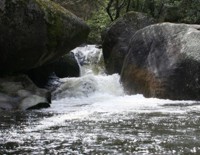 Agua