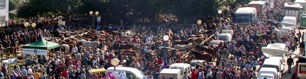 Campo dos Paxari&ntilde;os