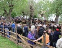 Feria de As Quendas