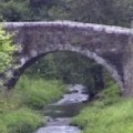 Pardo de Cela
