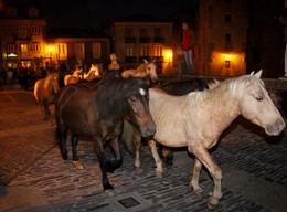 Caballos por Mondo&ntilde;edo