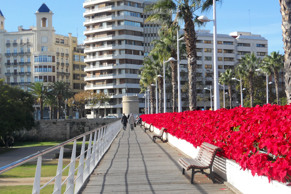 Puente de la flores Puente de la flores