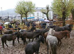 Feria de As Quendas