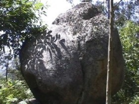 Pena do Unto Pena do Unto